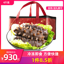 (Instant) Huangchun red bag instant sea cucumber 4kg fresh sea cucumber frozen seafood gift box organic