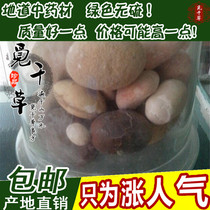 Mabao Chinese herbal medicine Natural maobao horse manure and stone yellow medicine horse calculus 1 gr
