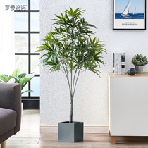Roman Mama Brief Indoor Emulation Plant Peacock Wood Potted Plant Floor Decoration Fake Green Planting Living Room Genguan Pendulum