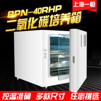 Shanghai One constant carbon dioxide cultivation case BPN-40RHP microbial CO2 cell culture box BPN-40CRH