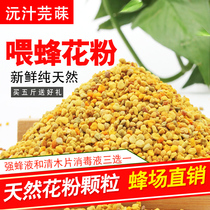 Pollen Grain Honeybee Natural Feed Breeding Rape Bee Grain Wholesale Feeding Beekeeper Bee Pollen Paste New Powder