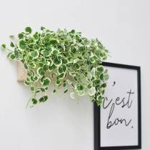 Door decoration wall hanging simulation plant hanging orchid door hanging home restaurant wall door decoration art281