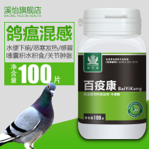 Viral clear pigeon drug Salmon adenovirus pull water green stool pigeon plague pigeon common disease pigeon supplies medicine book