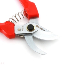 Sagawa Tin 130A garden scissors pruning shears branches fruit trees horticultural scissors flower scissors Japanese Alice