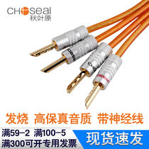 Audiophile speaker speaker cable Audio cable Huiwei M200MKII main and secondary high-fidelity banana head diy cable