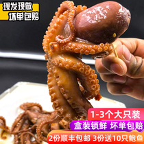 Net red headshot octopus has ink rice canned seafood ready-to-eat super large octopus spicy long legs big cooked food