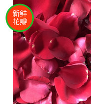 Base straight hair 520g fresh true rose petals to ask for wedding decoration birthday bubble bath bath spa hot spring