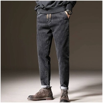 Autumn and winter jeans mens Tide brand elastic waist straight tube loose long pants men plus velvet thick warm Haren pants