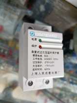 Shanghai Peoples complete appliance factory self-duplex overowes calendered time protector 63A AC230V 50Hz