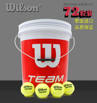 Wilson Trainer Tennis 72 Bucket Training Ball Durable Unpressurized Ball T1312