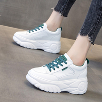 Hong Kong daddy girl ins tide 2021 new winter plus velvet casual thick bottom sports super fire leather white shoes