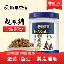 Medical Shi Gao Lecithin Cat Special Lecithin Beauty Soft Phospholipids Blue Cat Garfield Skin Care Anti-Hair Burst