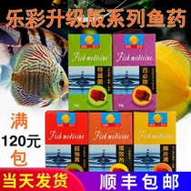 Lecai fish medicine must be in addition to The Synergist special sterilization enteritis and sent inside to the colorful fairy fish medicine