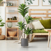 Roman mama emulation plant lilies bamboo wood Silence Wind Green Planting Indoor Living Room Floor Potted Shop Window Decoration Pendulum