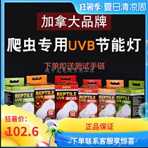 HAGEN Reptiles turtles Lizards UVB calcium lamp Succulents uvb100150 uvb100150 uvb100150 uvb100150