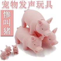 (3 installed) pet voice toy screaming pig dog vent boring toy resistant to bite sound screaming pig
