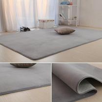 Mat floor mat home autumn and winter blanket bedroom full room cheap Balcony decoration clothing shop photo back