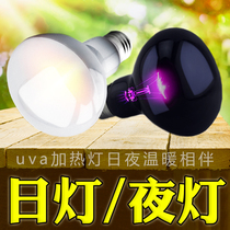 Reptile UVA Day Light Night Light Pet Heating Light Land Tortoise Box Lizard Heat Insulation Lamp Moonlight Spotlight Ultraviolet Light