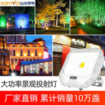 Photo-Tree Light Landscape Spotlight LED Shooting Lamp Outdoor Waterproof Courtyard Light Villa Garden Outdoor color Spotlight