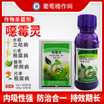 Reid Fengchuangmiao 30% Evil Molars Evil Molars of Flowers Moon Season Root Rot of Decaying Pesticide Fungicide