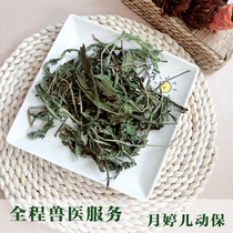 Dandelion hay mulberry leaf mint Chicory Prescription health grass Antibacterial anti-inflammatory liver kidney stomach Rabbit Dutch pig Chinchilla