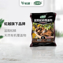 Flower color master pine scale rainbow Yue potted pine scale organic covering 8L bag landscaping pavement breathable