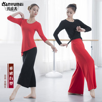 Modern Dance Practice Martial Suit Womens Adult Broadlegged Pants Art Body Suit Latin Folk Dance Performance Training Suit