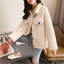 Autumn and winter net red new Korean version upright collar imitation lamb wool blouse loose display slim long sleeve short coat female 100 hitch