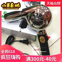 Shanghai zhengwanli hair dryer styling wind hairdressing hair dryer professional heater can plastic seal 450W
