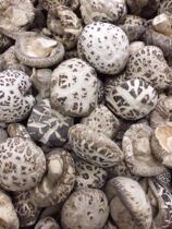 Export quality log white flower mushroom Shiitake mushroom dry goods thick meat mushroom fragrant tender smooth and nutritious 250g