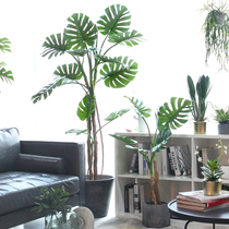 Sicilian Emulation Green Plant Turtle Back Leaf Tree Nordic Home Indoor Plant Decoration Shop Hotel Lobby Decoration