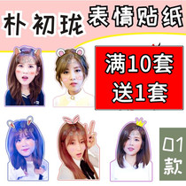 apink Park Chu Long stickers mobile phone hand account matte stickers Star peripheral customization
