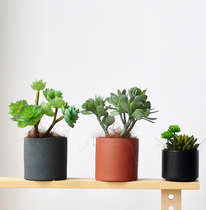 Qingfeng and bright moon simulation fleshy green plant bonsai potted desktop ornaments art218