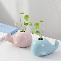 Creative Green Luo hydroponic vase plant basin flower bottle insert vase water culture container small ornaments decoration home