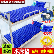 Adult water cushion water filling mattress water bed care thickened breathable anti-decubitus medical home summer cold summer tide