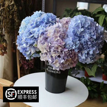 Large flower hydrangea flowers Roses with flowers Bouquet Hydrangea A fresh cut flower hundred with flowers