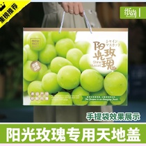 Sunshine Rose Grape Exclusive Packaging Box Gift Box High Gear Gift Box 5 Catty 10 Catty Japanese Green Lift Sign Hand Bag