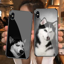 Funny cute dog cute two Huskies Apple 6 6splus i7 i8 i7plus i8plus Tempered glass mirror phone case iphoneXSmax