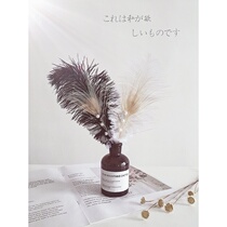 Shake Soundnet Red Wind Craft Ostrich Feather Peacock Feathers Medecine Hand Hold Feather Cosmetics Photogramme Photography Props