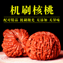 Text play walnut hand play machine brush package pulp High throw walnut boutique Lion head extra large official hat stuffy white apple garden