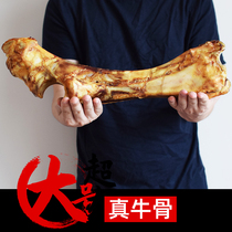 Moral stick dog resistant to bite large cow bone large dog snacks calcium supplement tooth bar to remove bad breath cow Rod bone