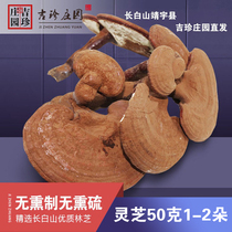 Changbai Mountain Ganoderma lucidum with spore powder semi-wild Ganoderma lucidum Northeast Ganoderma lucidum oil potted new dry goods non-sliced