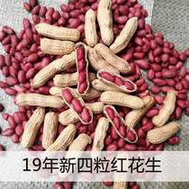 2021 Multiple catties optional farmhouse newborn peanut red leather raw peanuts with shell red coat peanut with shell sundried