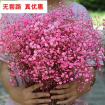 Buy one get one free Yunnan starry flowers bouquet can do dried flowers Oversized bouquet of real flowers Flower arrangement decoration ornaments Home