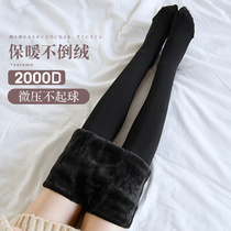 Underpants female winter plus suede thickened high waist integrated light leg theorizer micro pressure display slim outside wearing warm plastic body pantyhose