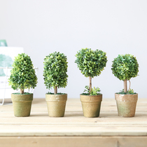 Fan makeup Nordic home simulation plant potted fake flower green plant ball small bonsai indoor living room decoration ornaments