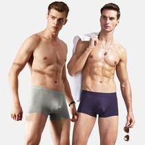 2-piece three-gun mens modal boxer pants dense cotton seamless underpants mingon mens flat shorts 50327