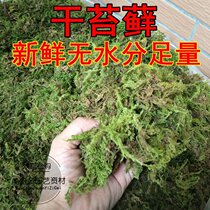 Material plant paving root moisturizing root moisturizing organic soil for butterfly orchids