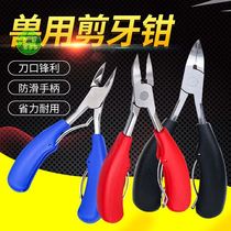 Piggy Cut Teeth Pliers Cut Teeth Pliers Stainless Steel Shears With Shears Piglet Piglets Special Teeth Pig Teeth Cut