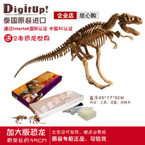 Thailand imported dinosaur fossil archaeological excavation toy simulation animal large T-rex skeleton splicing model